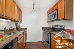100 W Chestnut St in Chicago, IL - Building Photo