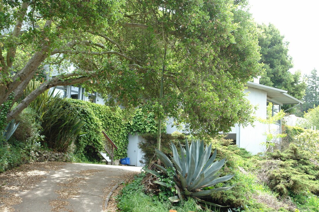 1601 La Vereda Rd in Berkeley, CA - Building Photo