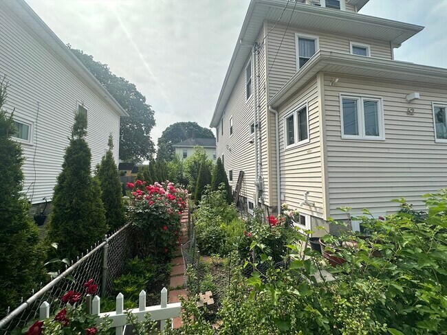 62 Antwerp St in Boston, MA - Building Photo - Building Photo