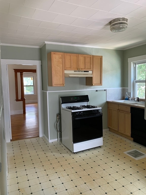 50 Windsor Rd, Unit #1 in Medford, MA - Foto de edificio - Building Photo
