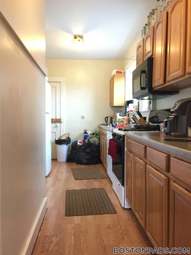 209 Chestnut Hill Ave in Boston, MA - Building Photo - Building Photo