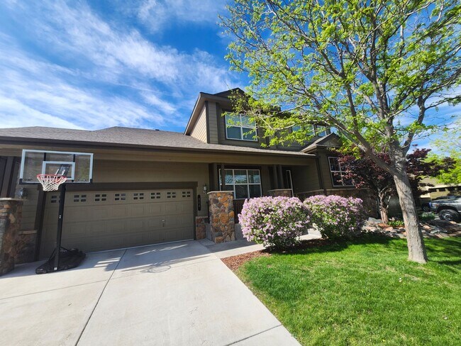 864 Tarpan Pl in Castle Rock, CO - Building Photo - Building Photo