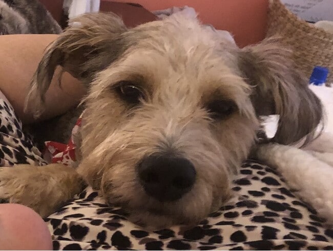 property at 810 Hammockwood Ct