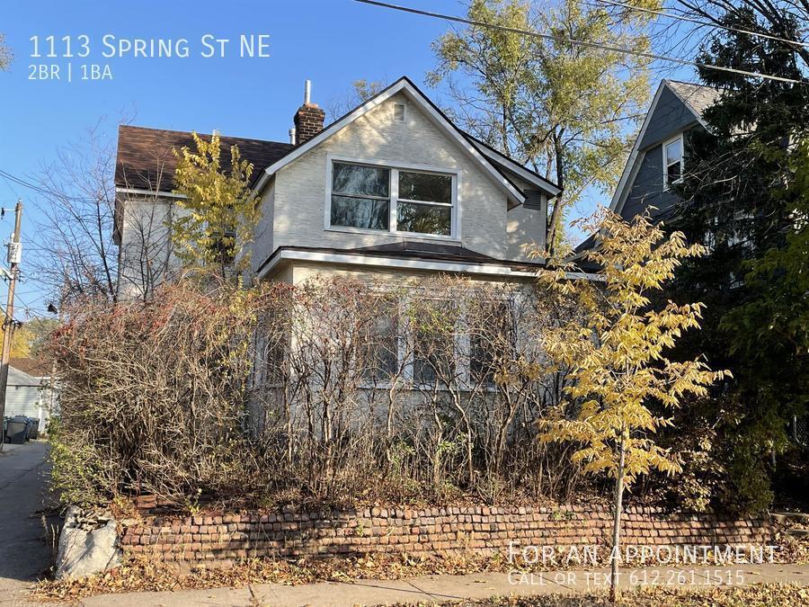 1113 Spring St NE in Minneapolis, MN - Building Photo