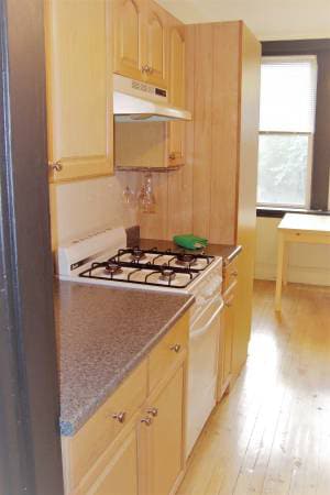 28 Quint Ave, Unit 35 in Boston, MA - Foto de edificio - Building Photo