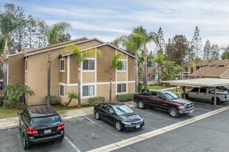 920 N Palmetto Ave in Ontario, CA - Foto de edificio - Building Photo