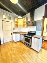 1656 S Throop St in Chicago, IL - Building Photo