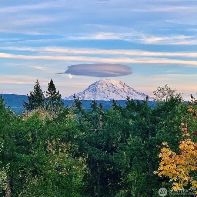 property at 16619 249th St E