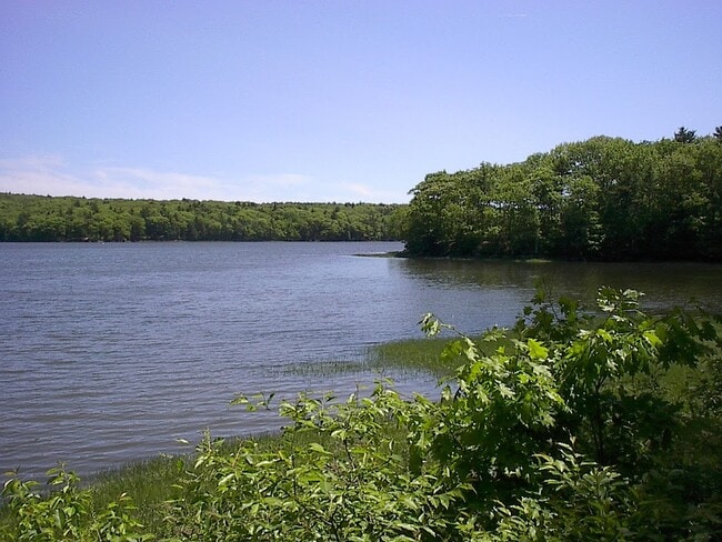 61 Birch Island Ln in Georgetown, ME - Foto de edificio - Building Photo
