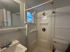 113 N Hamilton St in Ypsilanti, MI - Building Photo - Building Photo