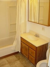 108 N 28th Ave W in Duluth, MN - Building Photo - Building Photo