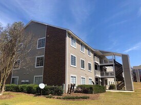220 Elm St in Clemson, SC - Building Photo