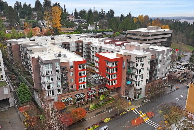 Aviara in Mercer Island, WA - Building Photo - Building Photo