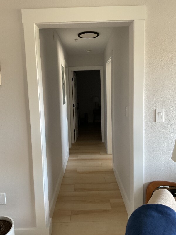 406 W Azeele St in Tampa, FL - Building Photo - Building Photo