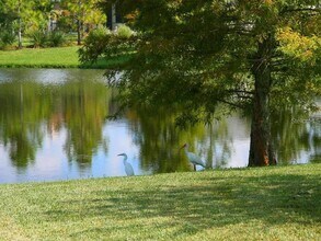 15253 Blue Fish Cir in Lakewood Ranch, FL - Building Photo - Building Photo