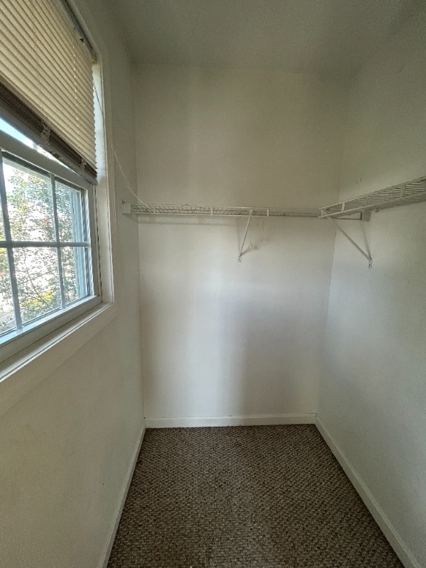 30 Grafton St in Providence, RI - Building Photo - Building Photo