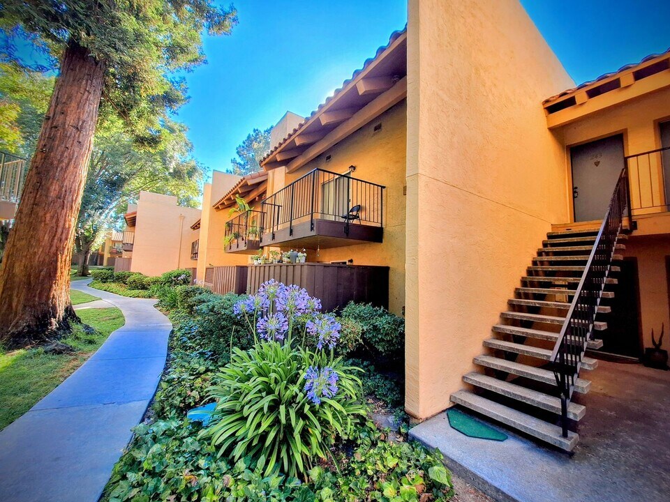 247 N Capitol Ave in San Jose, CA - Building Photo