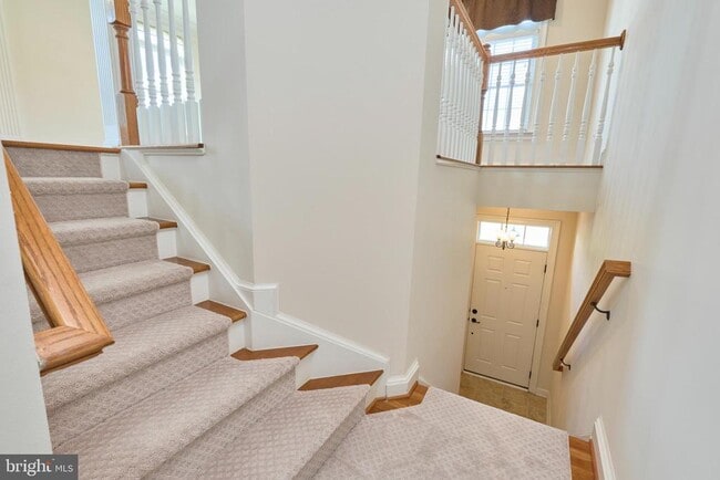 21276 Hyrst Grove Terrace in Ashburn, VA - Building Photo - Building Photo