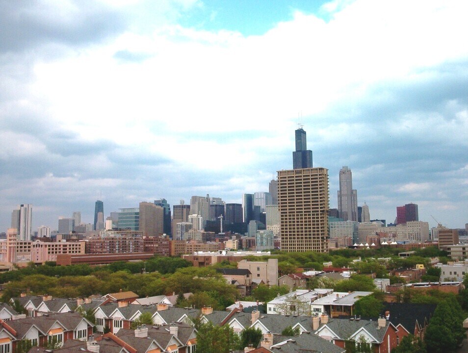 811 S Lytle St, Unit 317 in Chicago, IL - Building Photo