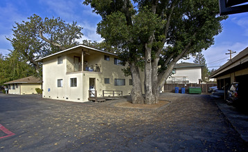 144 Carlton Ave in Los Gatos, CA - Building Photo - Building Photo