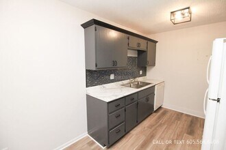 308 S Lewis Ave in Sioux Falls, SD - Building Photo - Building Photo