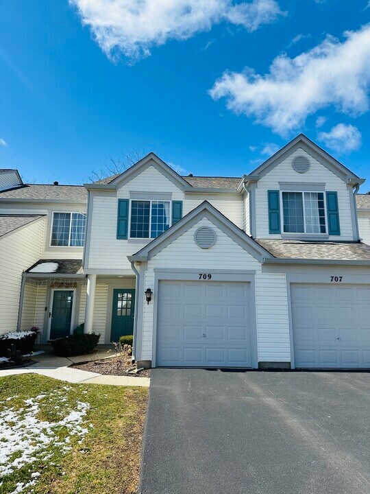 709 Blossom Ct in Naperville, IL - Building Photo