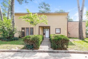 17803 Villa Way Dr in Spring, TX - Building Photo