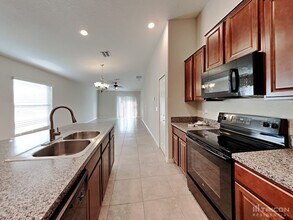 10129 Carloway Hills Dr in Wimauma, FL - Building Photo - Building Photo
