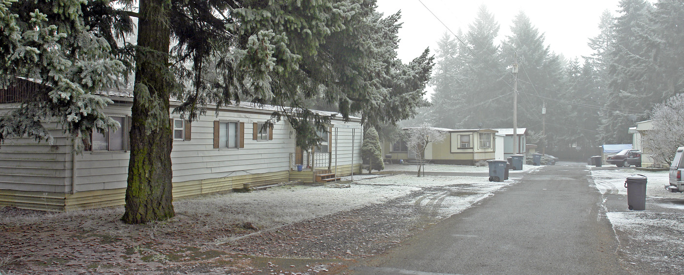 12203-12219 113th Ave E in Puyallup, WA - Building Photo