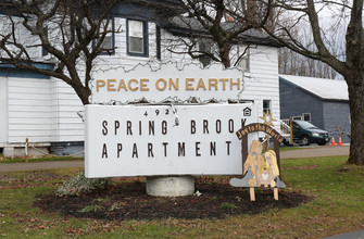 Springbrook Apartments in Pulaski, NY - Building Photo - Building Photo