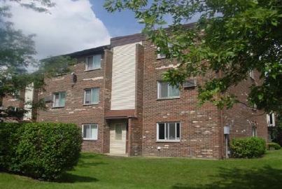 Wine Tree Apartments in Wheeling, IL - Foto de edificio - Building Photo