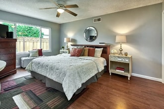 313 Oakberry Way in San Jose, CA - Foto de edificio - Building Photo