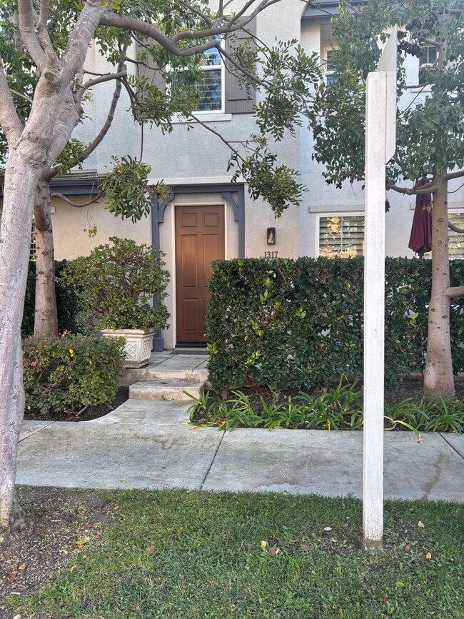 property at 1317 Corte Alemano