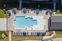 Waterleaf at Neely Ferry photo'