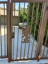 3548 Gladiola Dr in Calabasas, CA - Building Photo - Building Photo