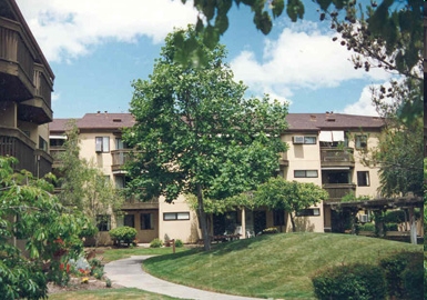 Monte Vista Terrace in Mountain View, CA - Building Photo