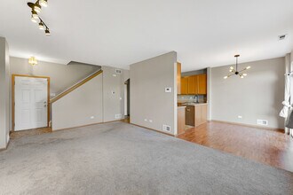 4905 Courtland Cir in Plainfield, IL - Building Photo - Building Photo