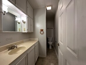 252 S Oak St in Manteno, IL - Building Photo - Building Photo