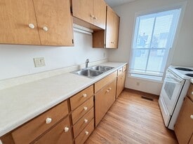 195-197 Euphemia St N in Sarnia, ON - Building Photo