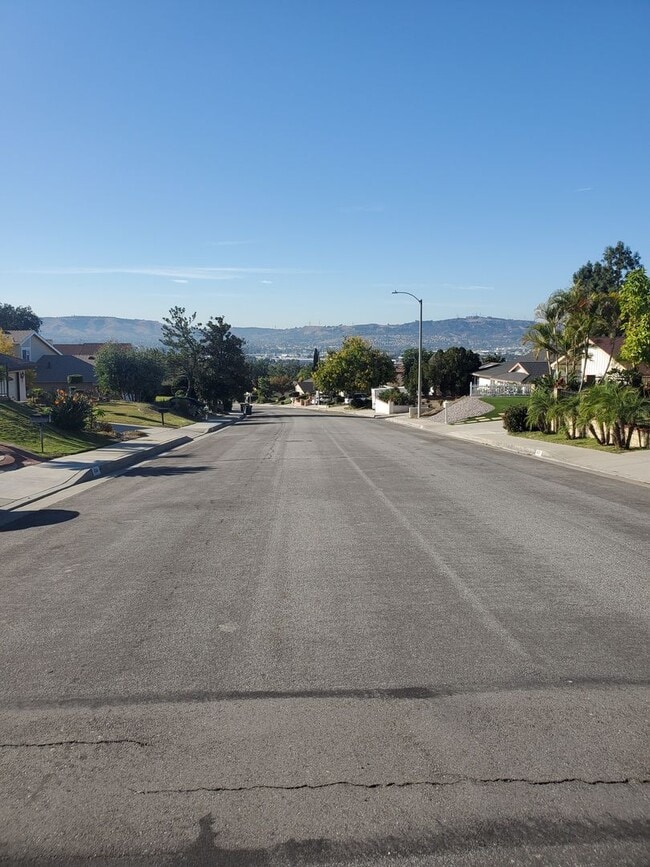 410 Vista Del Norte in Walnut, CA - Building Photo - Building Photo