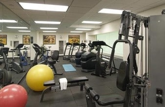 The Oasis Apartments in Denver, CO - Building Photo - Building Photo