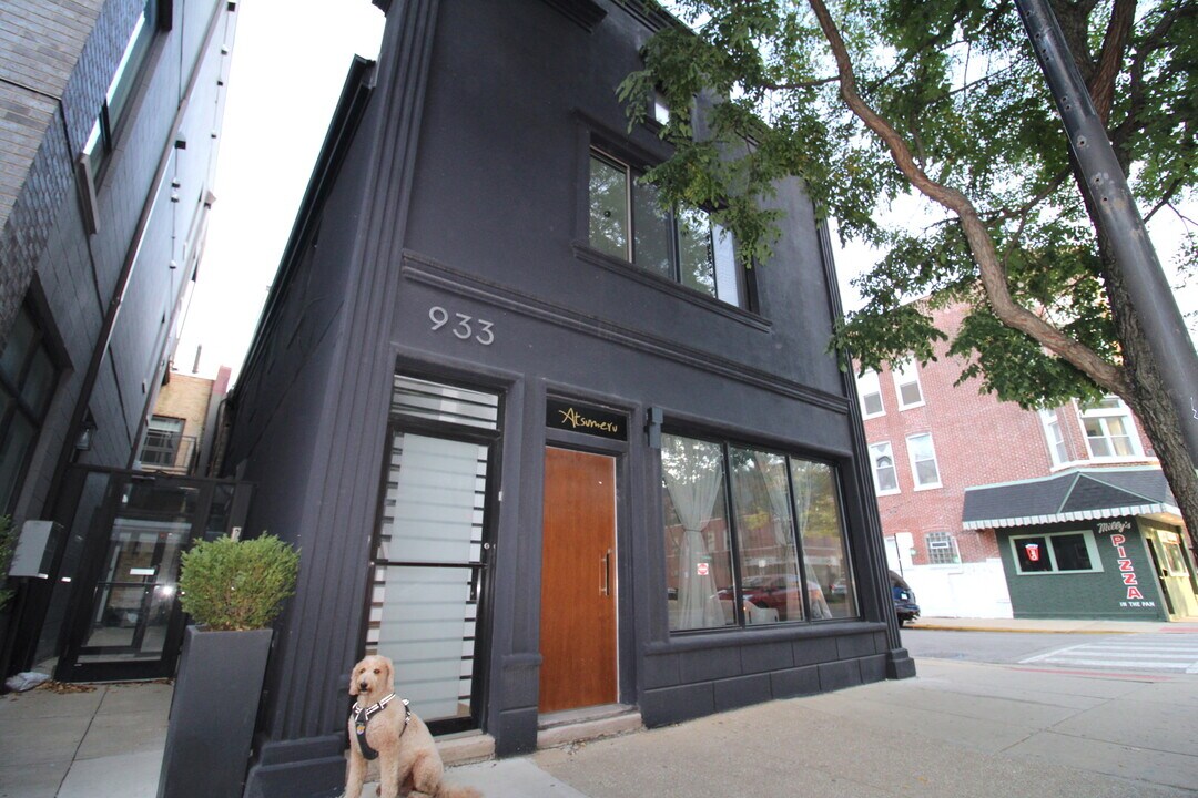 933 N Ashland Ave in Chicago, IL - Building Photo