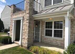 5443 Spring River Ave in Dublin, OH - Building Photo