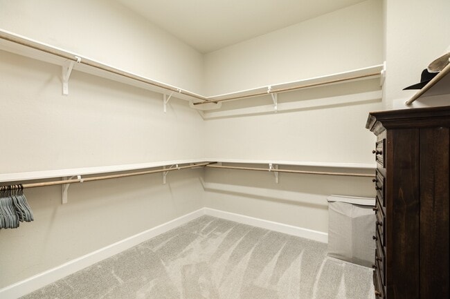 property at 9806 Starry Night Ln