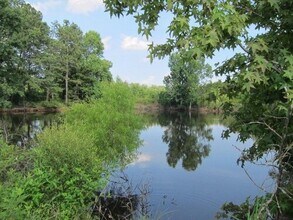 104 Trinity Pond Road in Winterville, GA - Building Photo - Building Photo