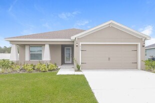 6784 Hanworth Ln in Zephyrhills, FL - Building Photo
