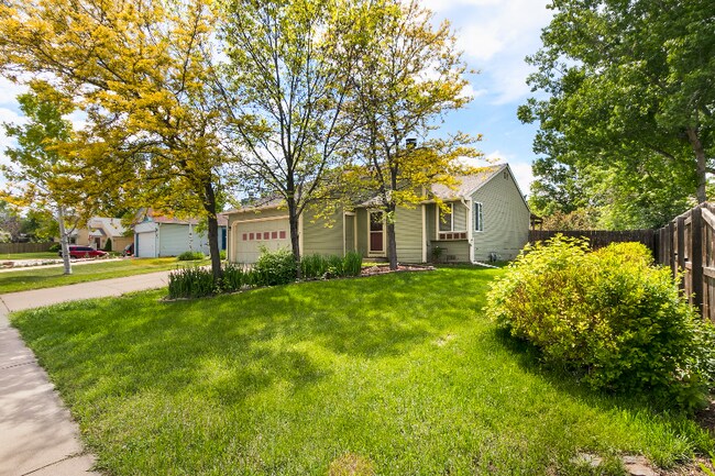 property at 31 Sweeney St
