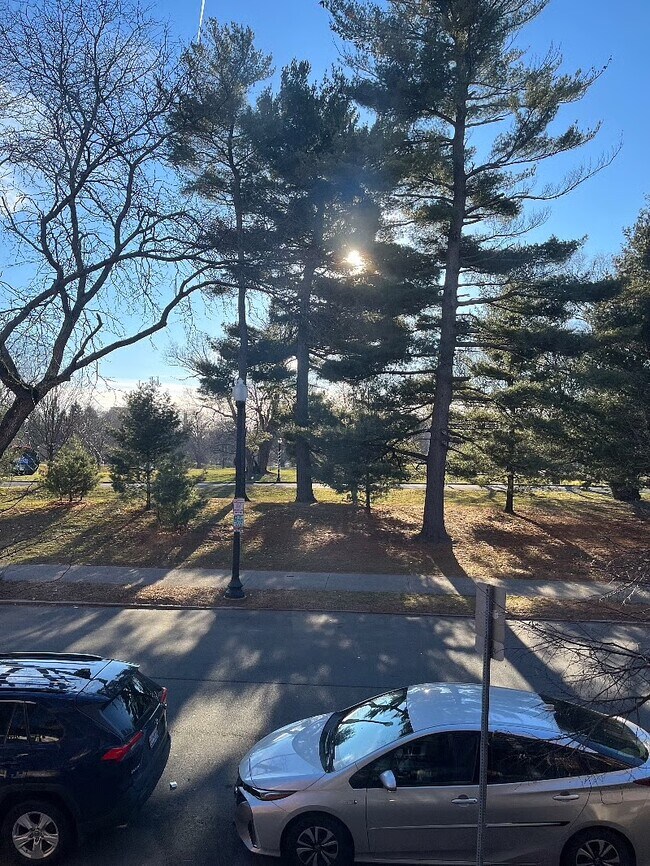 473 State St in Albany, NY - Foto de edificio - Building Photo