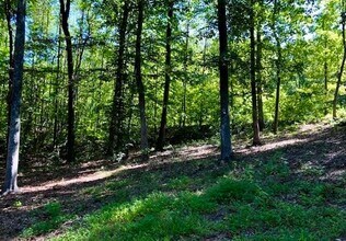 4916 Gold Crest Dr in Oak Ridge, NC - Building Photo - Building Photo