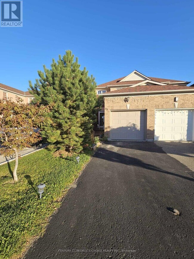 65 Olympia Crescent in Brampton, ON - Building Photo - Building Photo